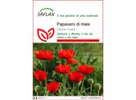 Saflax - Papavero Di Mais - 27000 Semi - Papaver