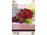 Buzzy Bouquet Colorati Vintage Semi Rossi - Circa 5 Gr | Buzzy_083058