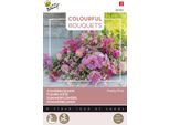 Buzzy Bouquet Colorati Piuttosto Rosa Semi - Circa 5 Gr | Buzzy_083062