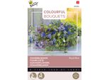Buzzy Bouquet Colorati Semi Blu Reale - Circa 3 Gr | Buzzy_083064