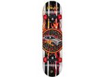 Skateboard Playlife Super Charger 31X8