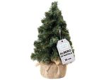 Creative Home Albero Di Natale Artificiale | Albero Di Natale Piccolo 30Cm | Cono Piccolo, Decorazioni Natalizie Per Tavolo, Albero Natale Fai-Da-Te