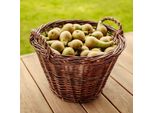 Creative Home Cesto Di Vimini Con Manico | Grande 45 X 30 X 37 Cm | Fatto A Mano | Cesto Per Legna Frutta Giardino | Salice Marrone Naturale Spesso