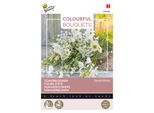 Buzzy Bouquet Colorati Semi Bianchi Dolci - Circa 5 Gr | Buzzy_083060