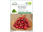 Saflax - Peperoncino - Piccante Cilieglia - 10 Semi - Capsicum