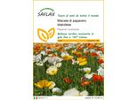 Saflax - Miscela Di Papavero Islandese - 8000 Semi - Papaver