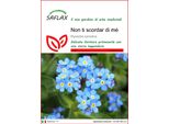 Saflax - Non Ti Scordar Di Mé - 150 Semi - Myosotis
