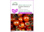 Saflax - Pomodoro Messicano Al Miele - 10 Semi - Lycopersicon