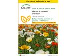 Saflax Insieme Di Coltivazione - Miscela Di Papavero Islandese - 8000 Semi - Papaver