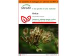 Saflax Garden In The Bag - Anice - 200 Semi - Pimpinella