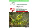 Saflax Garden To Go - Trifoglio Dolce - 250 Semi - Melilotus