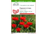 Saflax - Papavero Di Mais - 27000 Semi - Con Substrato - Papaver
