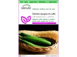 Saflax Garden To Go - Cetriolo Spugna Di Luffa - 10 Semi - Luffa