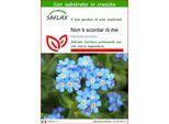 Saflax - Non Ti Scordar Di Mé - 150 Semi - Con Substrato - Myosotis
