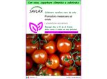 Saflax Garden To Go - Pomodoro Messicano Al Miele - 10 Semi - Lycopersicon