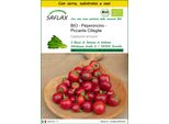 Saflax Insieme Di Coltivazione - Peperoncino - Piccante Cilieglia - 10 Semi - Capsicum