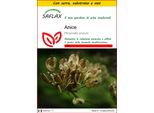 Saflax Insieme Di Coltivazione - Anice - 200 Semi - Pimpinella