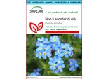 Saflax Set Regalo - Non Ti Scordar Di Mé - 150 Semi - Myosotis