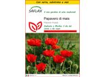 Saflax Insieme Di Coltivazione - Papavero Di Mais - 27000 Semi - Papaver