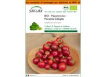 Saflax Garden In The Bag - Peperoncino - Piccante Cilieglia - 10 Semi - Capsicum
