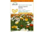 Saflax Garden In The Bag - Miscela Di Papavero Islandese - 8000 Semi - Papaver