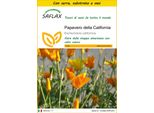 Saflax Insieme Di Coltivazione - Papavero Della California - 1500 Semi - Eschscholzia