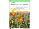 Saflax Garden To Go - Papavero Della California - 1500 Semi - Eschscholzia