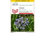 Saflax Insieme Di Coltivazione - Verbena - 250 Semi - Verbena
