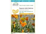 Saflax Set Regalo - Papavero Della California - 1500 Semi - Eschscholzia