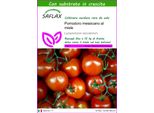 Saflax - Pomodoro Messicano Al Miele - 10 Semi - Con Substrato - Lycopersicon