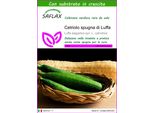 Saflax - Cetriolo Spugna Di Luffa - 10 Semi - Con Substrato - Luffa