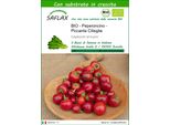Saflax - Peperoncino - Piccante Cilieglia - 10 Semi - Con Substrato - Capsicum