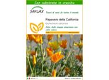 Saflax - Papavero Della California - 1500 Semi - Con Substrato - Eschscholzia
