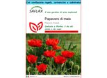 Saflax Set Regalo - Papavero Di Mais - 27000 Semi - Papaver