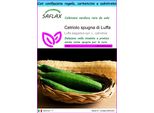 Saflax Set Regalo - Cetriolo Spugna Di Luffa - 10 Semi - Luffa