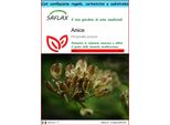 Saflax Set Regalo - Anice - 200 Semi - Pimpinella