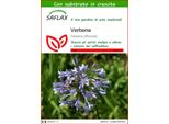 Saflax - Verbena - 250 Semi - Con Substrato - Verbena