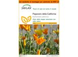 Saflax Garden In The Bag - Papavero Della California - 1500 Semi - Eschscholzia