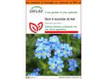 Saflax Garden In The Bag - Non Ti Scordar Di Mé - 150 Semi - Myosotis