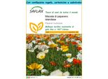 Saflax Set Regalo - Miscela Di Papavero Islandese - 8000 Semi - Papaver