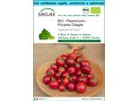 Saflax Set Regalo - Peperoncino - Piccante Cilieglia - 10 Semi - Capsicum
