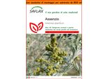 Saflax Garden In The Bag - Assenzio - 500 Semi - Artemisia