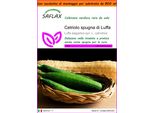 Saflax Garden In The Bag - Cetriolo Spugna Di Luffa - 10 Semi - Luffa