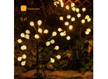 2 Pezzi Illuminazione Solare Giardino Impermeabile Telecomando Timer Terra Picco, Lampada Solare All'aperto IP65 20 Led Trasparente Sensore Crepuscolare, Decorazione Cortile Balcone
