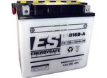 Batteria Energysafe ESB16B-A 12V/16AH