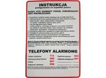 Istruzioni Per La Sicurezza Antincendio - Pannello 250X350 In Pvc