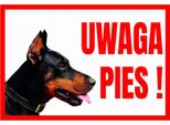 Attenzione Cane Doberman 250X175 Cartello Informativo - Pannello In Pvc