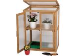 Needs&Wants® Mini GewäChshaus Treibhaus Klein Winterfest Aus Holz FüR Balkon Garten Indoor, FrüHbeet Hochbeet Pflanzschrank Anzuchthaus, 56X43X76 Cm, Polycarbonat