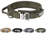 Collare Tattico Per Cani In Nylon Regolabile Per L'addestramento Con Fibbia In Metallo E Maniglia Di Controllo Per Cani Di Taglia Media E Grande (RGN-L)