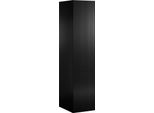 Dmora Armadio Multiuso 1 Anta Treville 55.5X198.5H Cm Nero, Un'anta 5 Vani